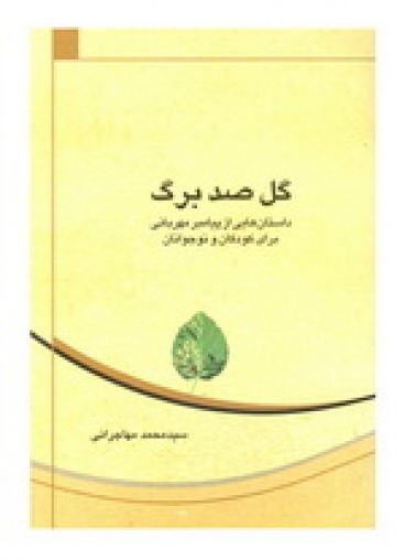 گل صد برگ
